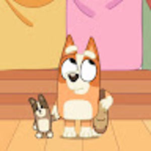 Meet your Posher, Beella